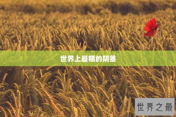 世界上最粗的阴茎