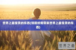 世界上最宝贵的东西(钱能给我带来世界上最宝贵的东西)