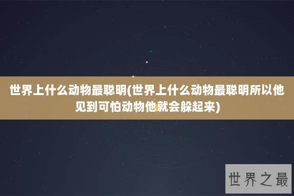 世界上什么动物最聪明(世界上什么动物最聪明所以他见到可怕动物他就会躲起来)