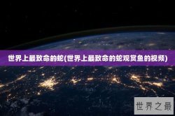 世界上最致命的蛇(世界上最致命的蛇观赏鱼的视频)
