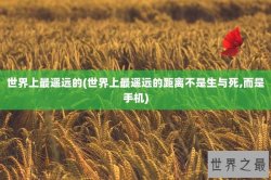 世界上最遥远的(世界上最遥远的距离不是生与死,而是手机)
