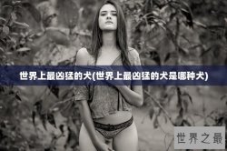 世界上最凶猛的犬(世界上最凶猛的犬是哪种犬)