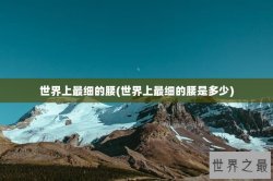 世界上最细的腰(世界上最细的腰是多少)