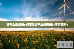 世界上最痛苦的事情(世界上最痛苦的事情图片)