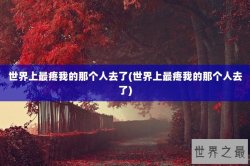 世界上最疼我的那个人去了(世界上最疼我的那个人去了)