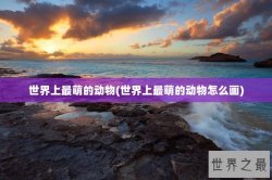 世界上最萌的动物(世界上最萌的动物怎么画)