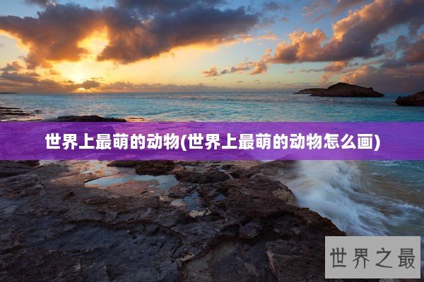 世界上最萌的动物(世界上最萌的动物怎么画)