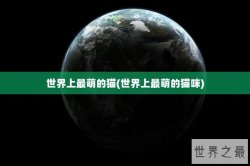 世界上最萌的猫(世界上最萌的猫咪)