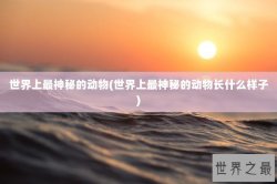 世界上最神秘的动物(世界上最神秘的动物长什么样子)