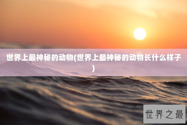世界上最神秘的动物(世界上最神秘的动物长什么样子)