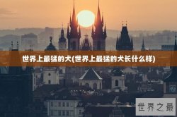 世界上最猛的犬(世界上最猛的犬长什么样)