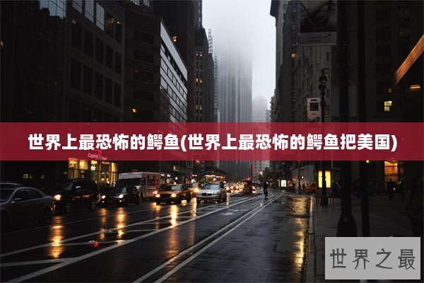 世界上最恐怖的鳄鱼(世界上最恐怖的鳄鱼把美国)