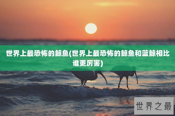 世界上最恐怖的鲸鱼(世界上最恐怖的鲸鱼和蓝鲸相比谁更厉害)