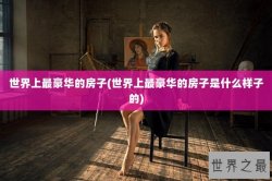 世界上最豪华的房子(世界上最豪华的房子是什么样子的)