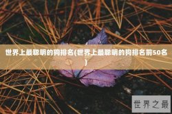 世界上最聪明的狗排名(世界上最聪明的狗排名前50名)