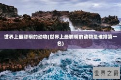 世界上最聪明的动物(世界上最聪明的动物是谁排第一名)