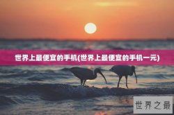 世界上最便宜的手机(世界上最便宜的手机一元)
