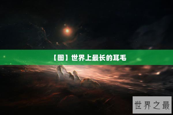 【图】世界上最长的耳毛