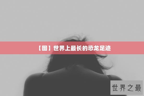【图】世界上最长的恐龙足迹
