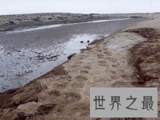 【图】世界上最长的恐龙足迹