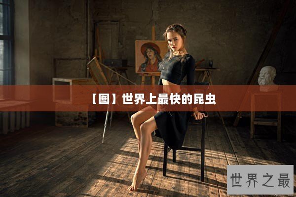 【图】世界上最快的昆虫