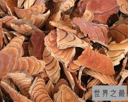 【图】功能最多的植物——鸡血藤