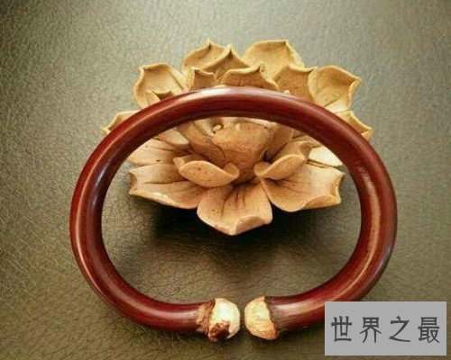 【图】功能最多的植物——鸡血藤