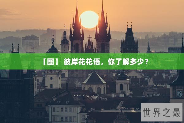 【图】 彼岸花花语，你了解多少？