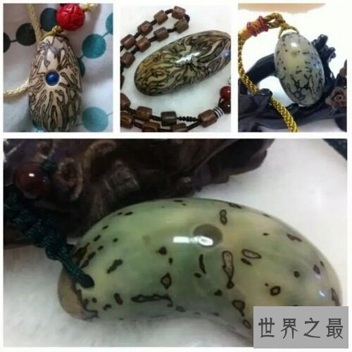 【图】千眼菩提是一种有名的果子，你还当它是石头吗