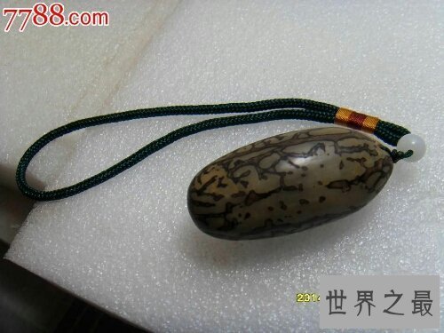 【图】千眼菩提是一种有名的果子，你还当它是石头吗