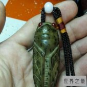 【图】千眼菩提是一种有名的果子，你还当它是石头吗