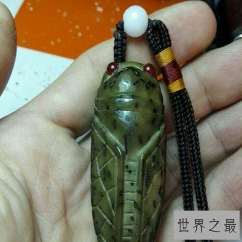 【图】千眼菩提是一种有名的果子，你还当它是石头吗