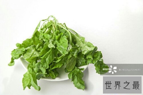 【图】荠菜大家都吃过吗？这有几张荠菜图片来看一下