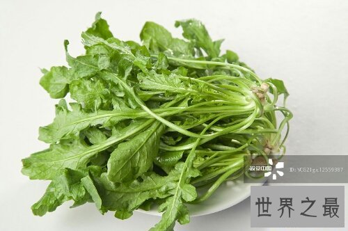 【图】荠菜大家都吃过吗？这有几张荠菜图片来看一下