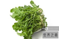 【图】荠菜大家都吃过吗？这有几张荠菜图片来看一下