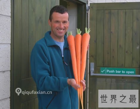 【图】世界上最长的胡萝卜
