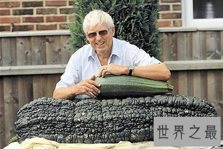 【图】世界上最大的西葫芦