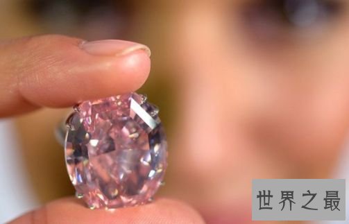 粉红之星——6000万美元