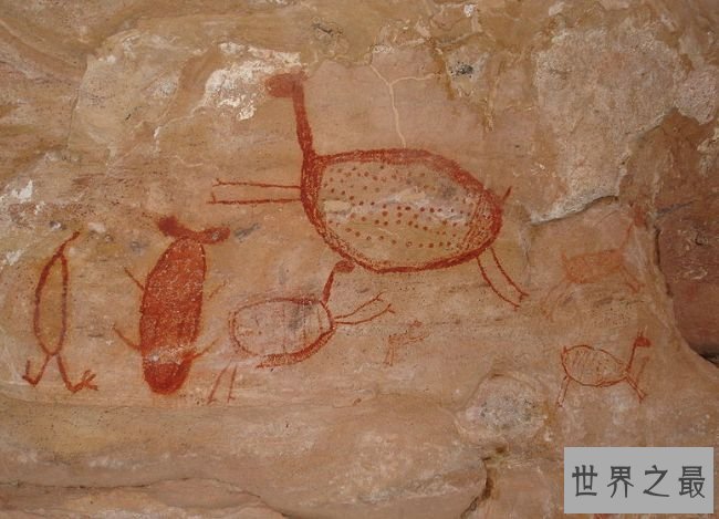 塞拉达卡皮瓦拉