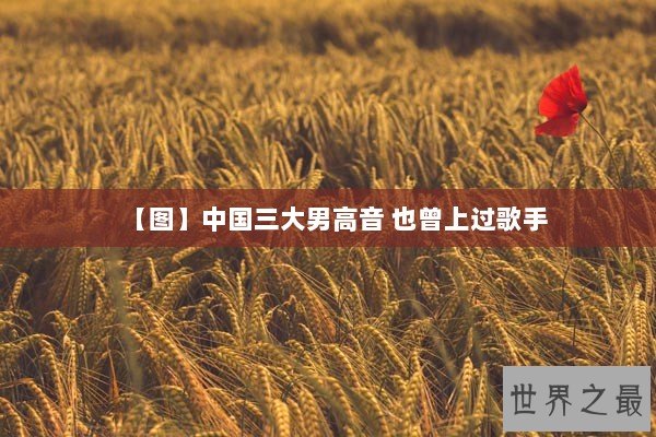 【图】中国三大男高音 也曾上过歌手