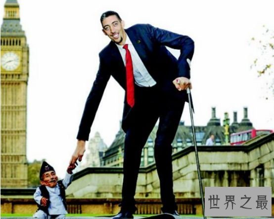 世界第一高人，苏尔坦·科森以2.4米身高胜利突破吉尼斯纪录