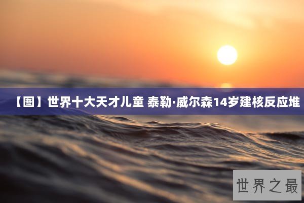 【图】世界十大天才儿童 泰勒·威尔森14岁建核反应堆