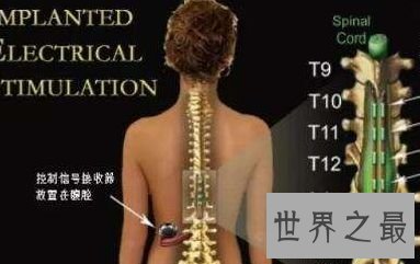 【图】世界上最痛苦的病 常见疼痛难以忍受的疾病