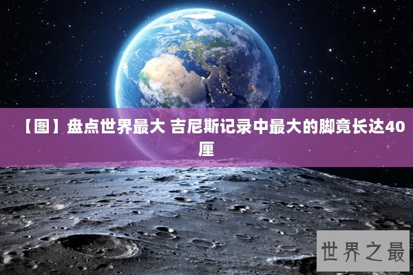 【图】盘点世界最大 吉尼斯记录中最大的脚竟长达40厘