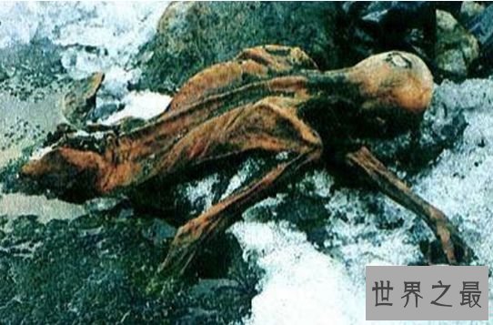 世界最陈旧的木乃伊 深度解密“奥茨”冰人