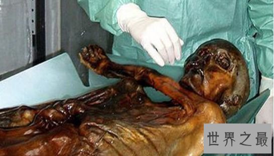 世界最陈旧的木乃伊 深度解密“奥茨”冰人