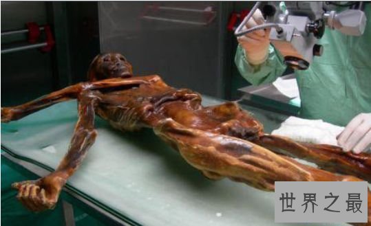 世界最陈旧的木乃伊 深度解密“奥茨”冰人