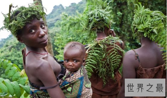 世界上最原始的部落 俾格米人8岁便生儿育女