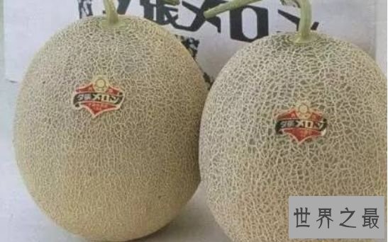 清点9种寰球最贵食物 为土豪而生的“黄金”食物