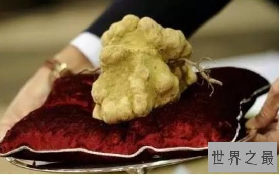 清点9种寰球最贵食物 为土豪而生的“黄金”食物